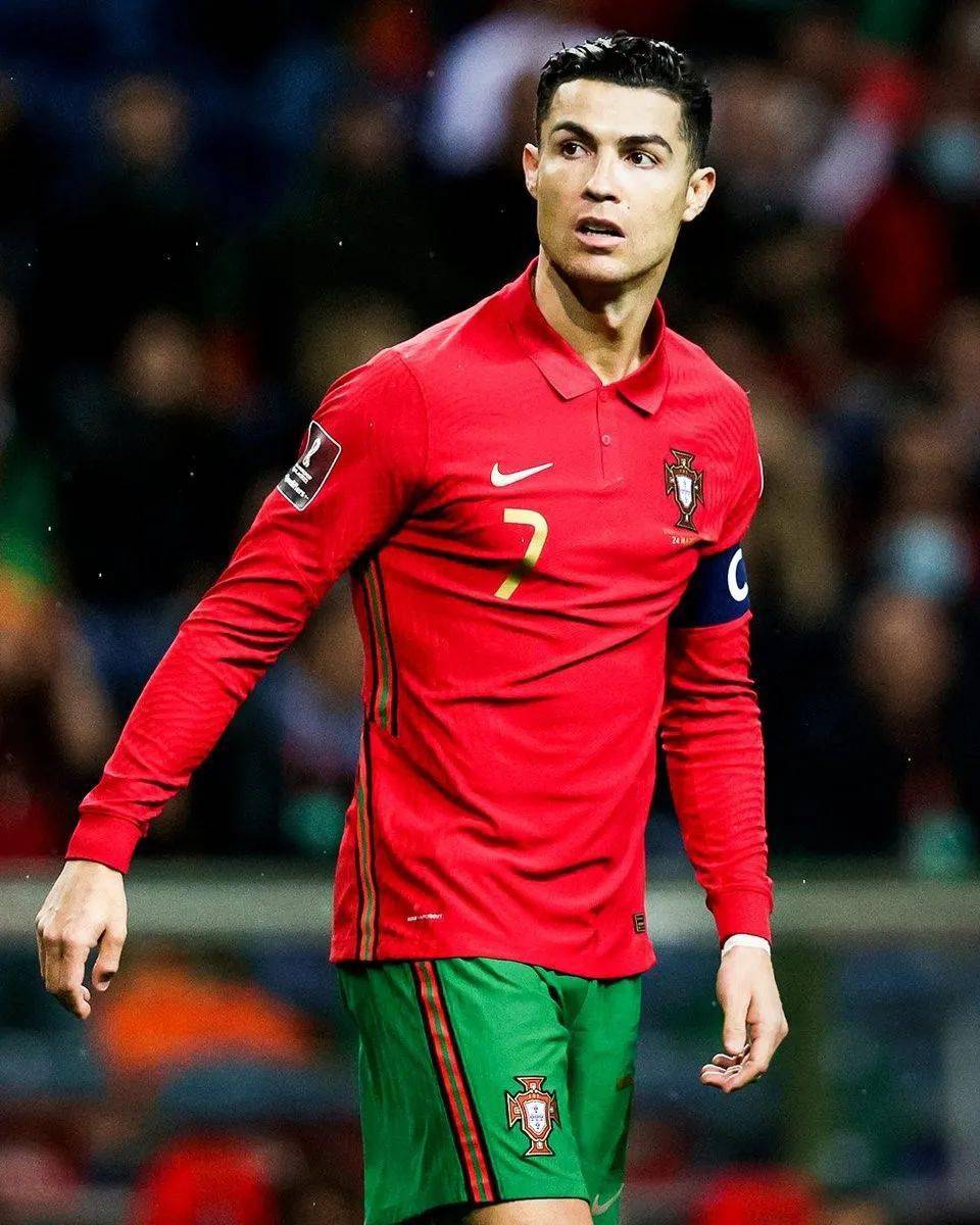 养的培养机 养的培养机