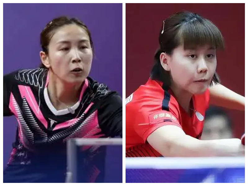 与培养机制 与培养机制